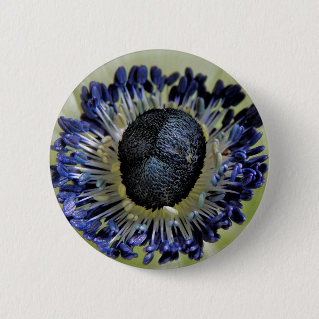Anemone Mistral Panda Abzeichen Button (Vorderseite)