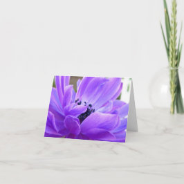 Anemone Note Card Dankeskarte