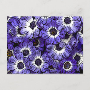 Anemone Postkarte