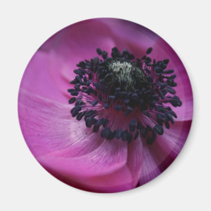 Anemone Round Magnet