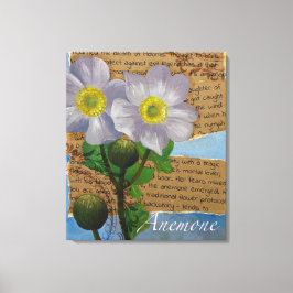 Anemone Stretched Canvas Print Leinwanddruck