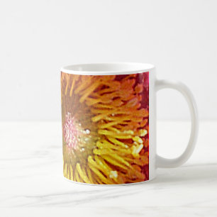 Anemone Tasse