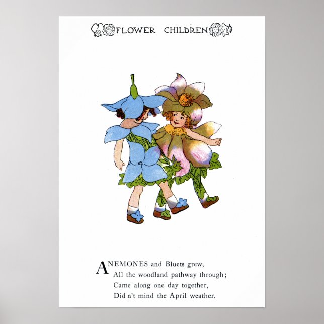 Anemone und Bluets Poster (Vorne)