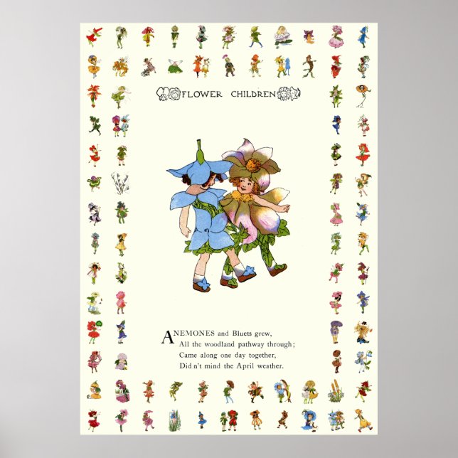 Anemone und Bluets Poster (Vorne)