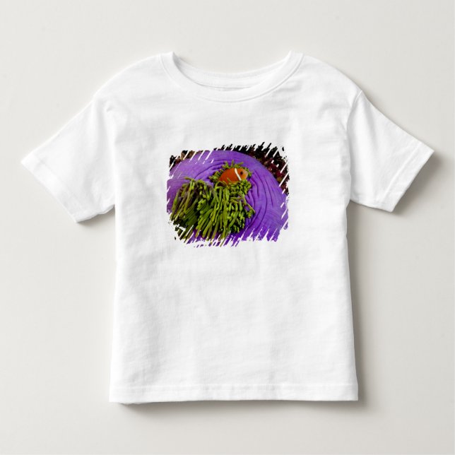 Anemonefish und große Anemone Kleinkind T-shirt (Vorderseite)