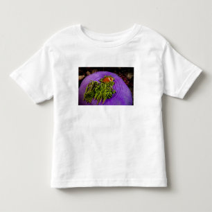 Anemonefish und große Anemone Kleinkind T-shirt