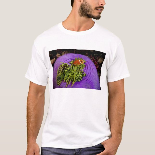 Anemonefish und große Anemone T-Shirt (Vorderseite)