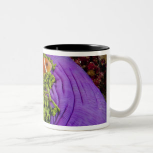 Anemonefish und große Anemone Zweifarbige Tasse
