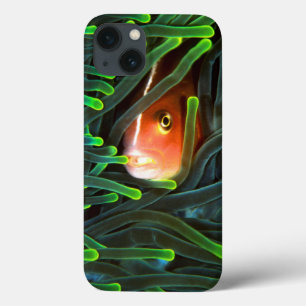 Anemonenfisch versteckt sich in Seeanemone, Mosamb Case-Mate iPhone Hülle