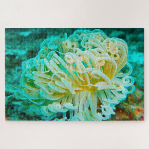 Anemonie Puzzle