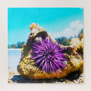 Anemonie Puzzle