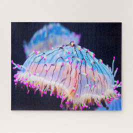 Anemonie Puzzle