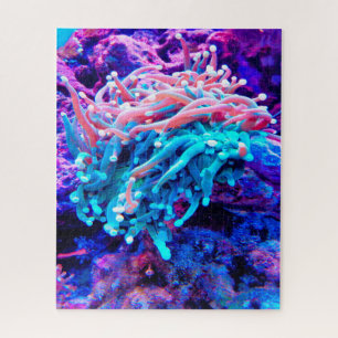 Anemonie Puzzle