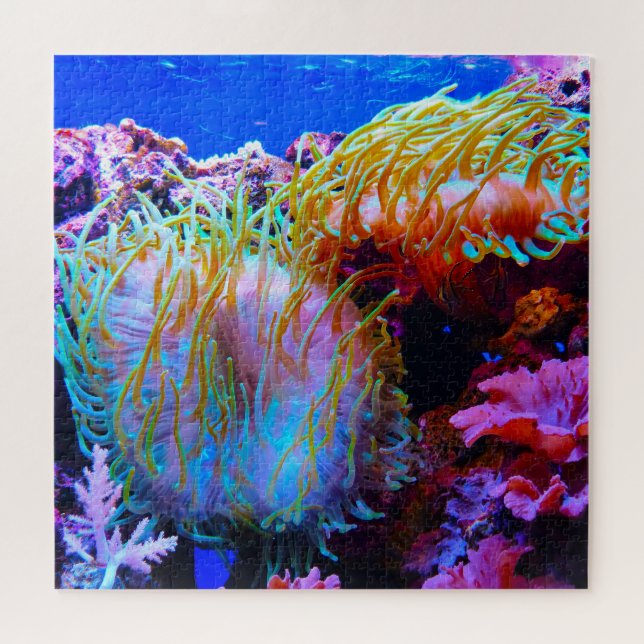 Anemonie Puzzle (Horizontal)