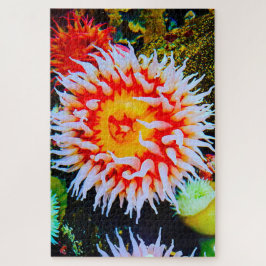 Anemonie Puzzle