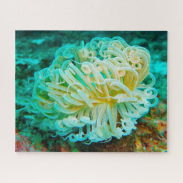 Anemonie Puzzle
