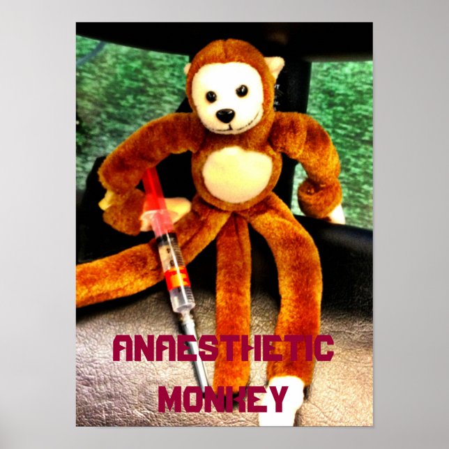 ANESTHETISCHES MONKEY POSTER (Vorne)
