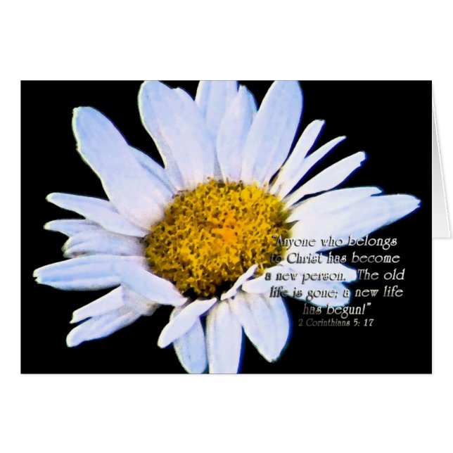 AnewlifehasbeginZazzle (Vorderseite (Horizontal))