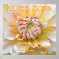 Anfahrt & Shine