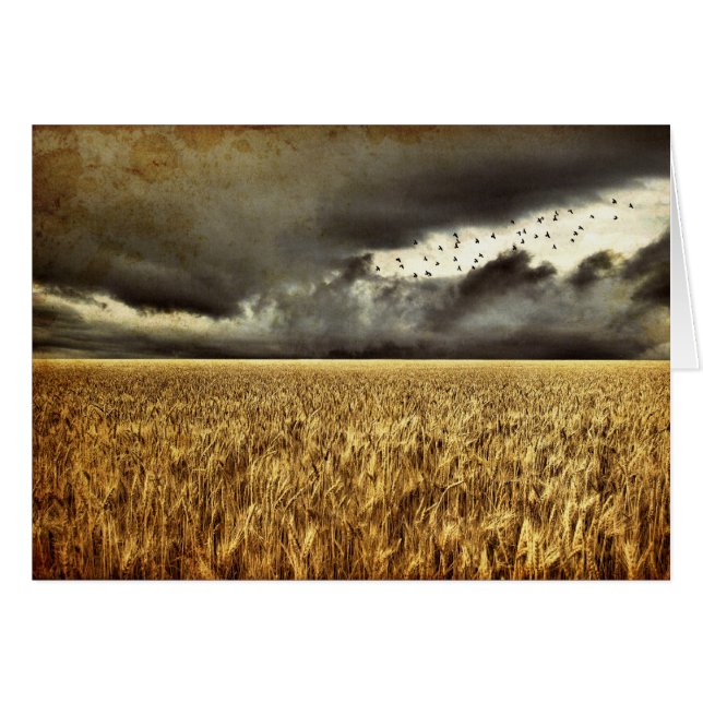 Anfahrt zur Storm-Karte (Vorderseite (Horizontal))