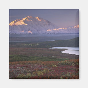 Anfang September im Nationalpark Denali aufgenomme Magnet