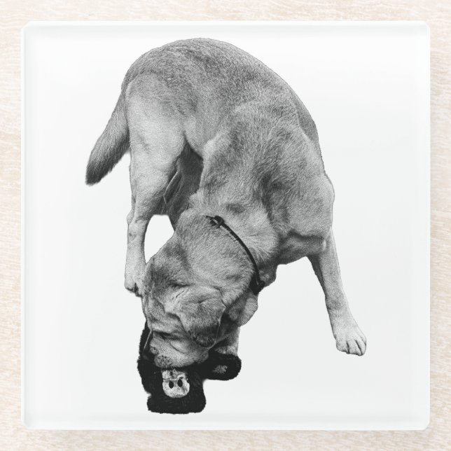 Angeblich - Labrador mit Plush Glasuntersetzer (Vorderseite)