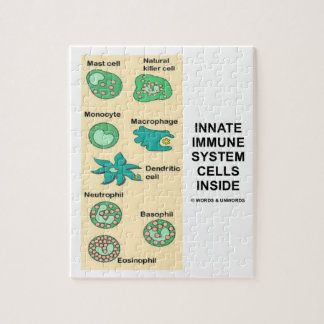 Angeborene Immunsystem-Zellen innerhalb der Puzzle