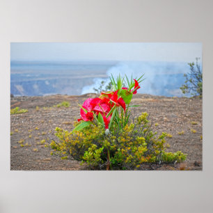 Angebot an Pele, Hawaiianische Vulkangöttin Poster