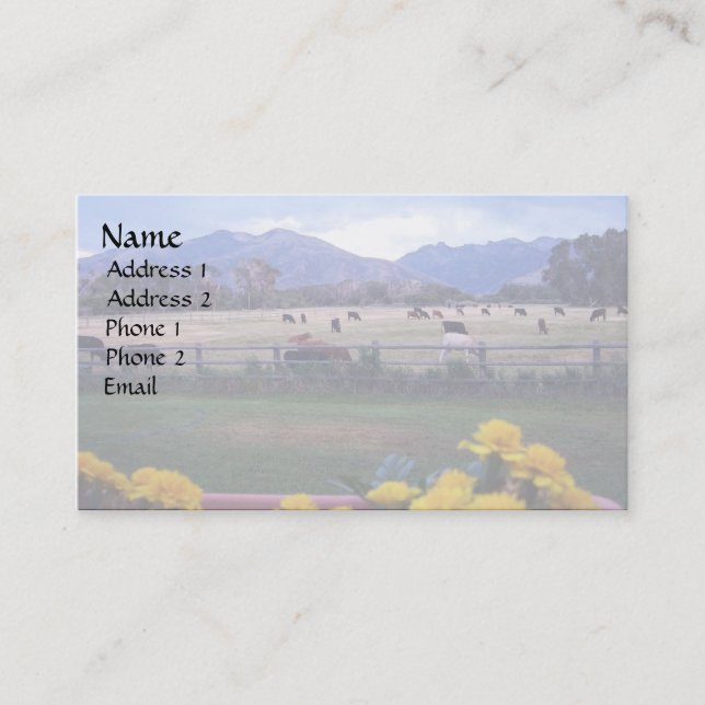 Angel auf Weide Visitenkarte (Vorderseite)