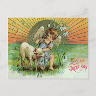 Angel Cherub Sun Lamb Sheep Postkarte