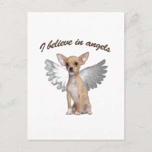 Angel Chihuahua Postkarte