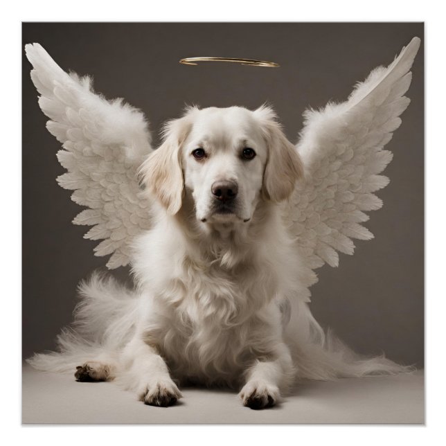 Angel Dog Poster (Vorderseite)