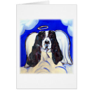 Angel English Springer Spaniel