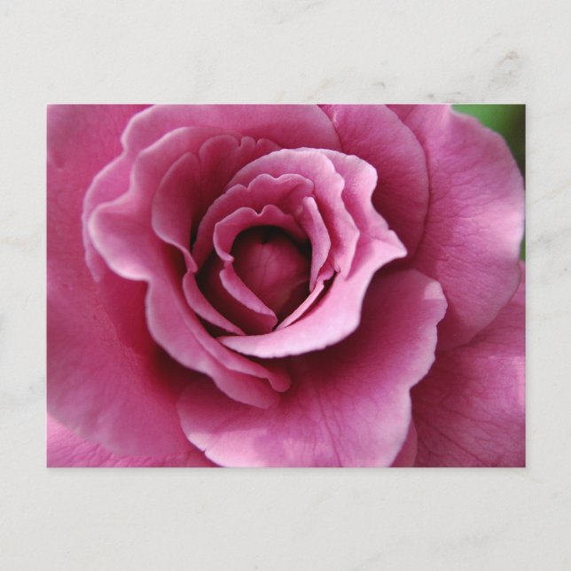 Angel Face II Postcard Postkarte (Vorderseite)