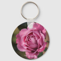 Angel Face Rose