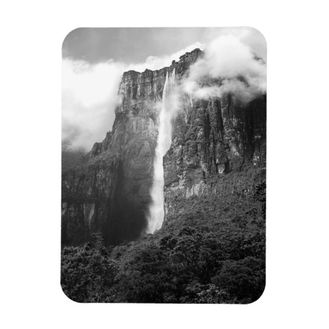 Angel Falls in Schwarz & Weiß Magnet (Vertikal)