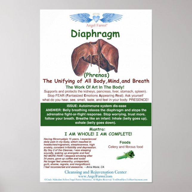 Angel Farms Diaphragma Chart Poster (Vorne)
