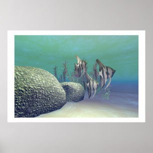 ANGEL FISH DRINT POSTER