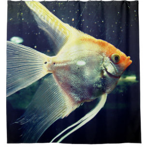 Angel Fish Duschvorhang