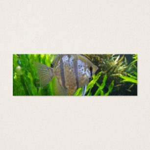 Angel Fish Lesezeichen