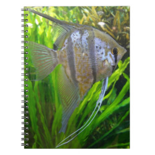 Angel Fish Notizblock