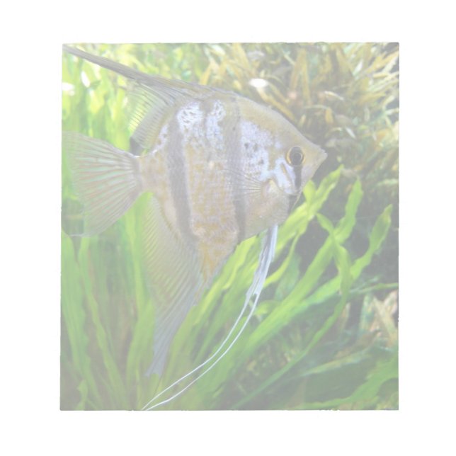 Angel Fish Notizblock (Vorderseite)