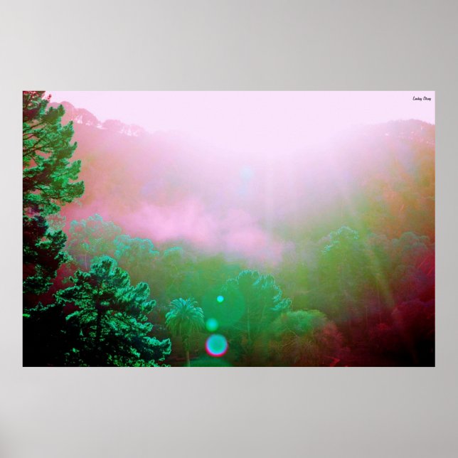 Angel Island Poster - X-Large (38" x 25,4") (Vorne)