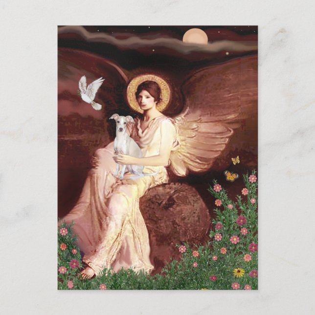 Angel - Italienischer Windhund 7 Postkarte (Vorderseite)