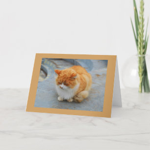 Angel-Katze Feiertagskarte