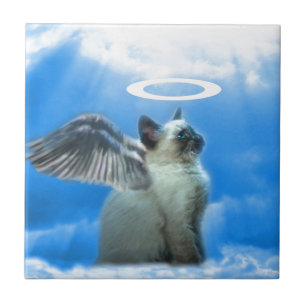 Angel Kitten Cat Fliese