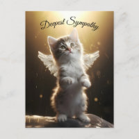Angel Kitten