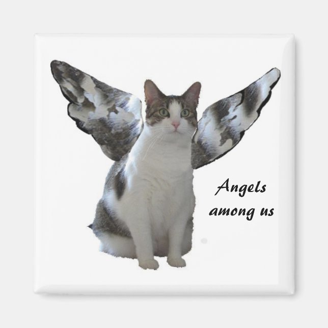 Angel Kitty Magnet (Vorne)
