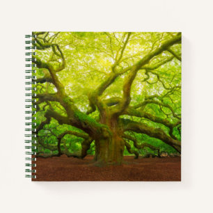 Angel Oak Notizbuch