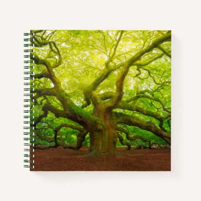 Angel Oak Notizbuch (Vorderseite)